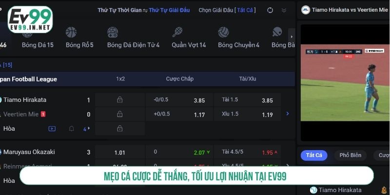 Mẹo cá cược dễ thắng, tối ưu lợi nhuận tại EV99