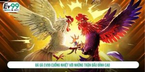 đá gà ev99