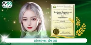 Giấy phép hoạt động EV99