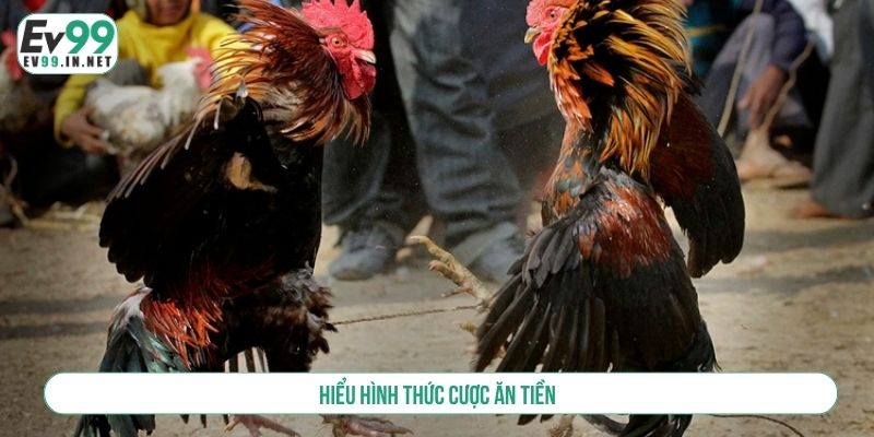 Hiểu hình thức cược ăn tiền