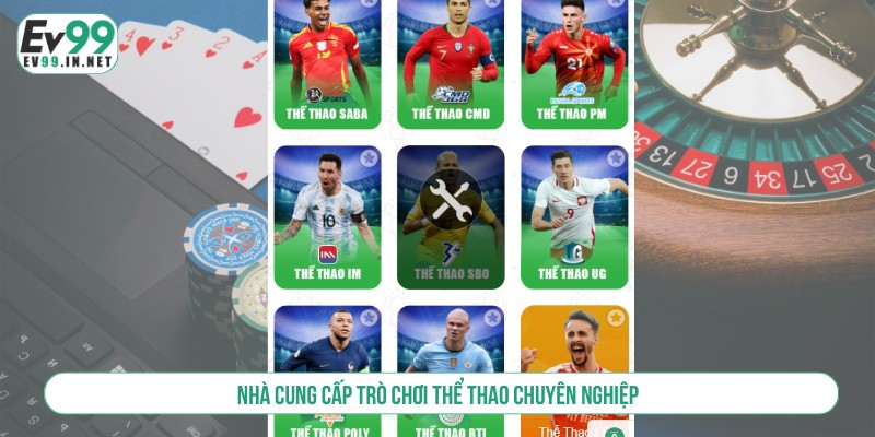 Nhà cung cấp trò chơi thể thao chuyên nghiệp