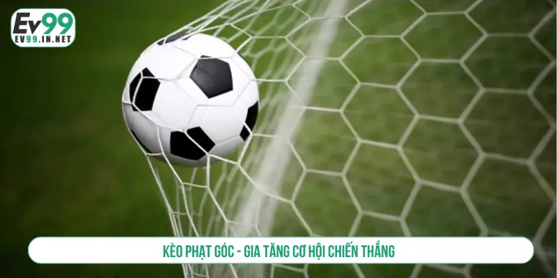 Kèo phạt góc - Gia tăng cơ hội chiến thắng